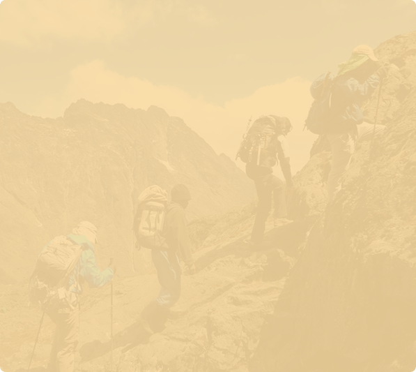 Trip providers illustration