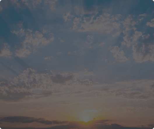 Trip providers illustration